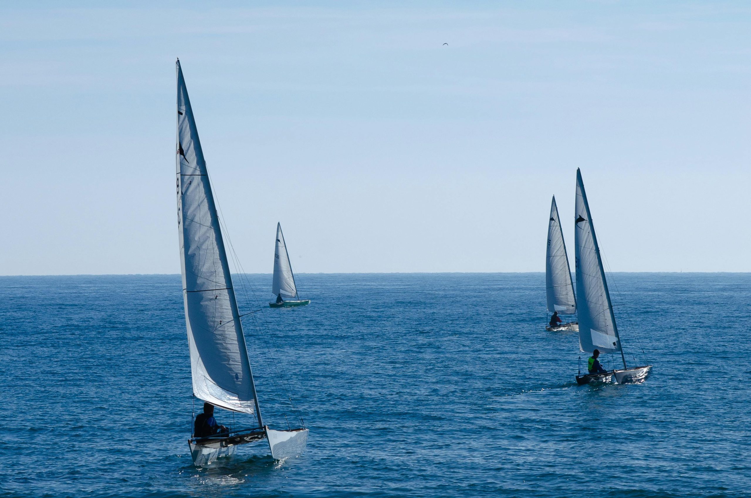 Small sailboats gliding across calm blue sea under a clear sky during daytime